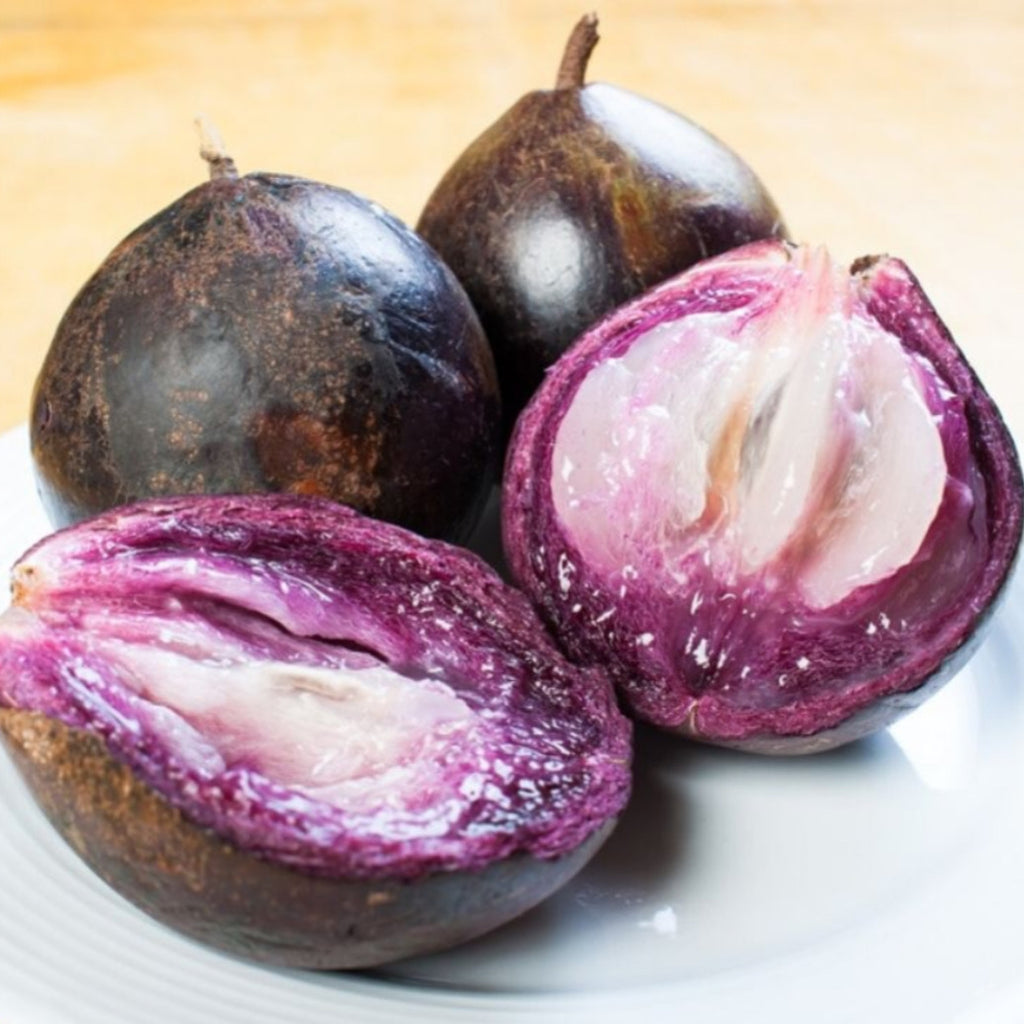 Caimito Star Apple Tree Live Plant 4–6 Inches | Exotic Tropical Fruit Tree for Home Garden