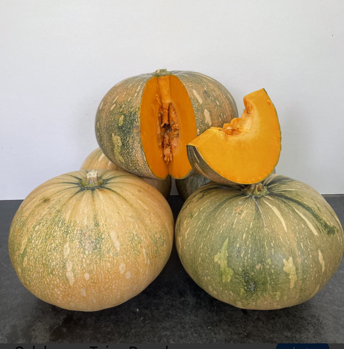 Puerto Rican Native Pumpkin Seeds | 100 Heirloom Seeds | Tropical Caribbean Squash Variety