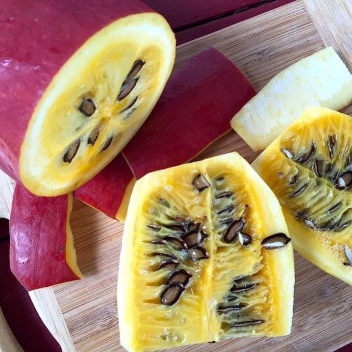 100 Rare Sicana Odorifera Seeds – Giant Angolo Cucumber Exotic Fruit Plant Collection